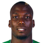 Florentin Pogba