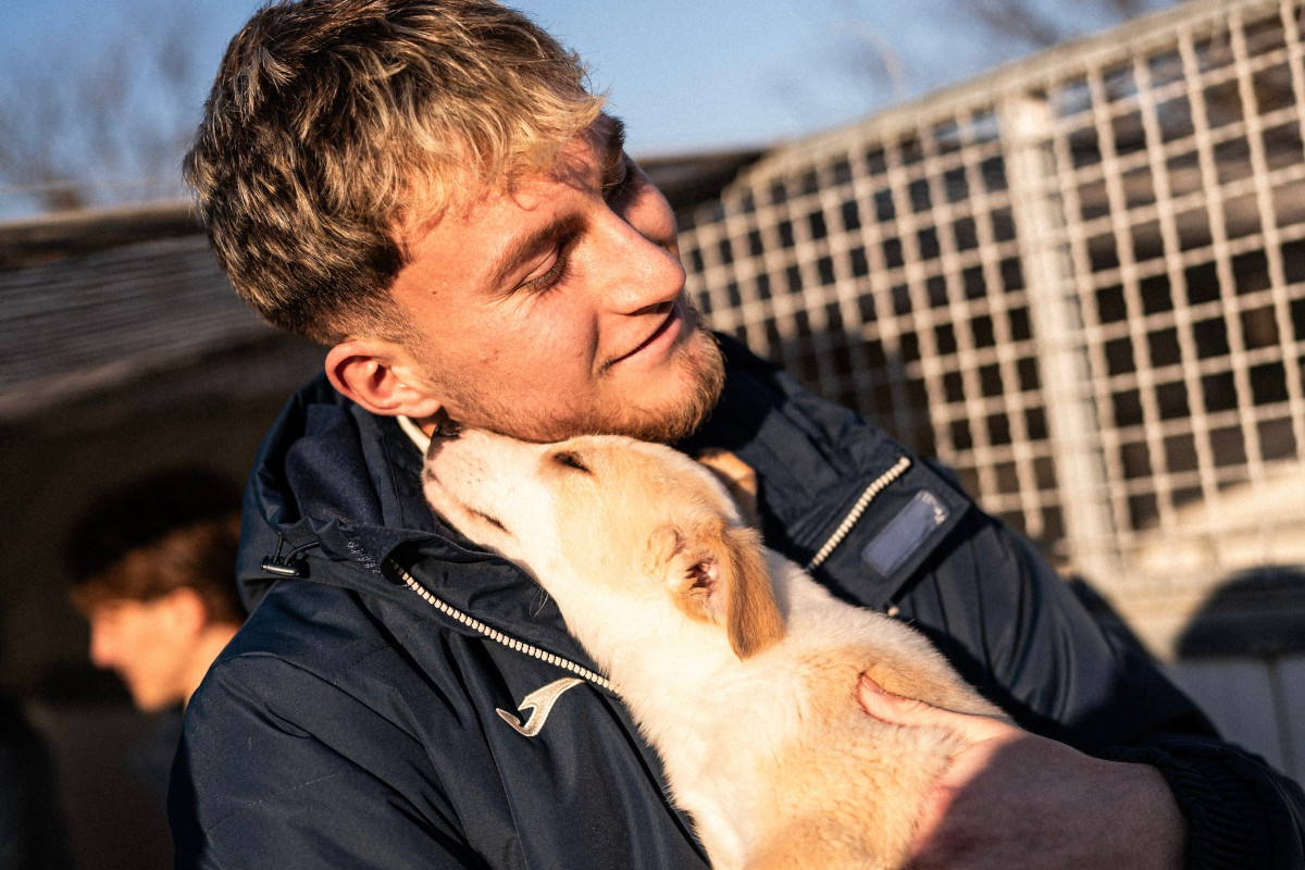 Chiot joueur de Vérone