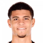 Miles Robinson
