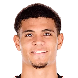 Miles Robinson