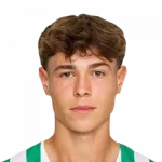 Ermin Mahmic